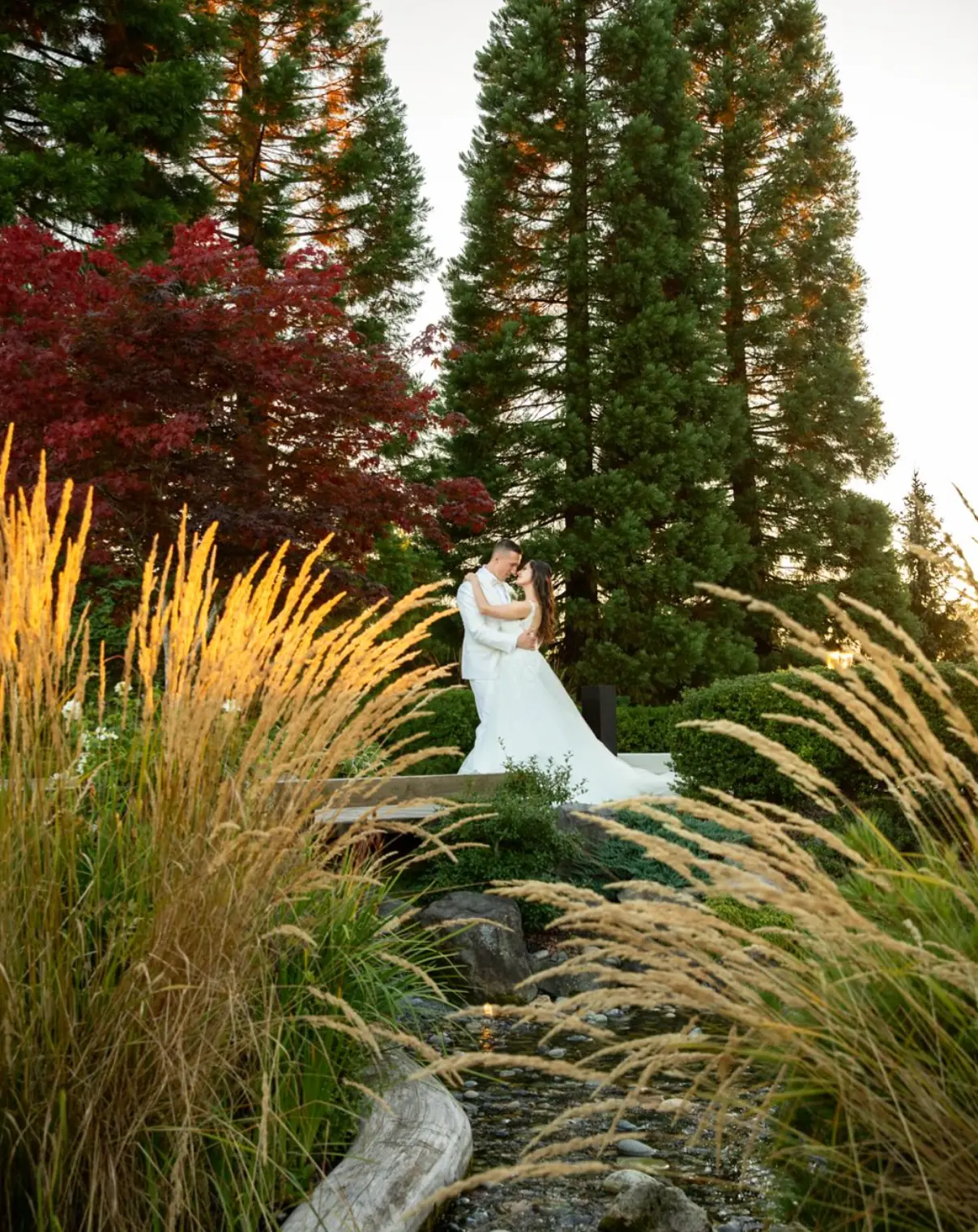 A bride standing in a garden on her wedding day, photographed from a distance